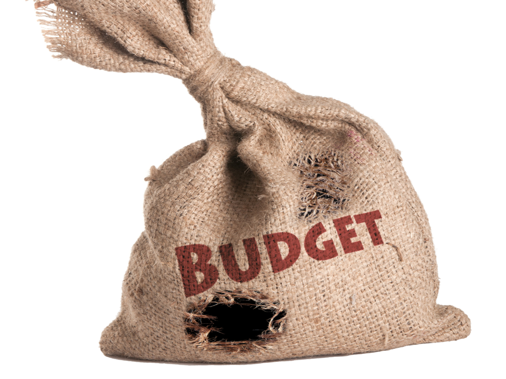 Final-budget-sack
